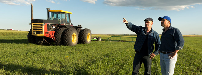 Two farmers talking in a field